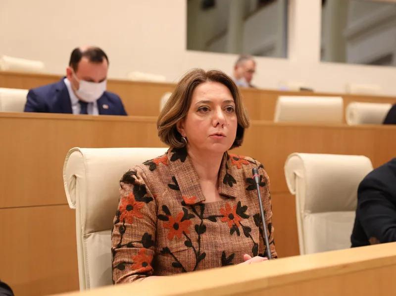 "მიხეილ სააკაშვილი შეგუებულია, რომ შესაძლოა დაიღუპოს" - სალომე სამადაშვილი