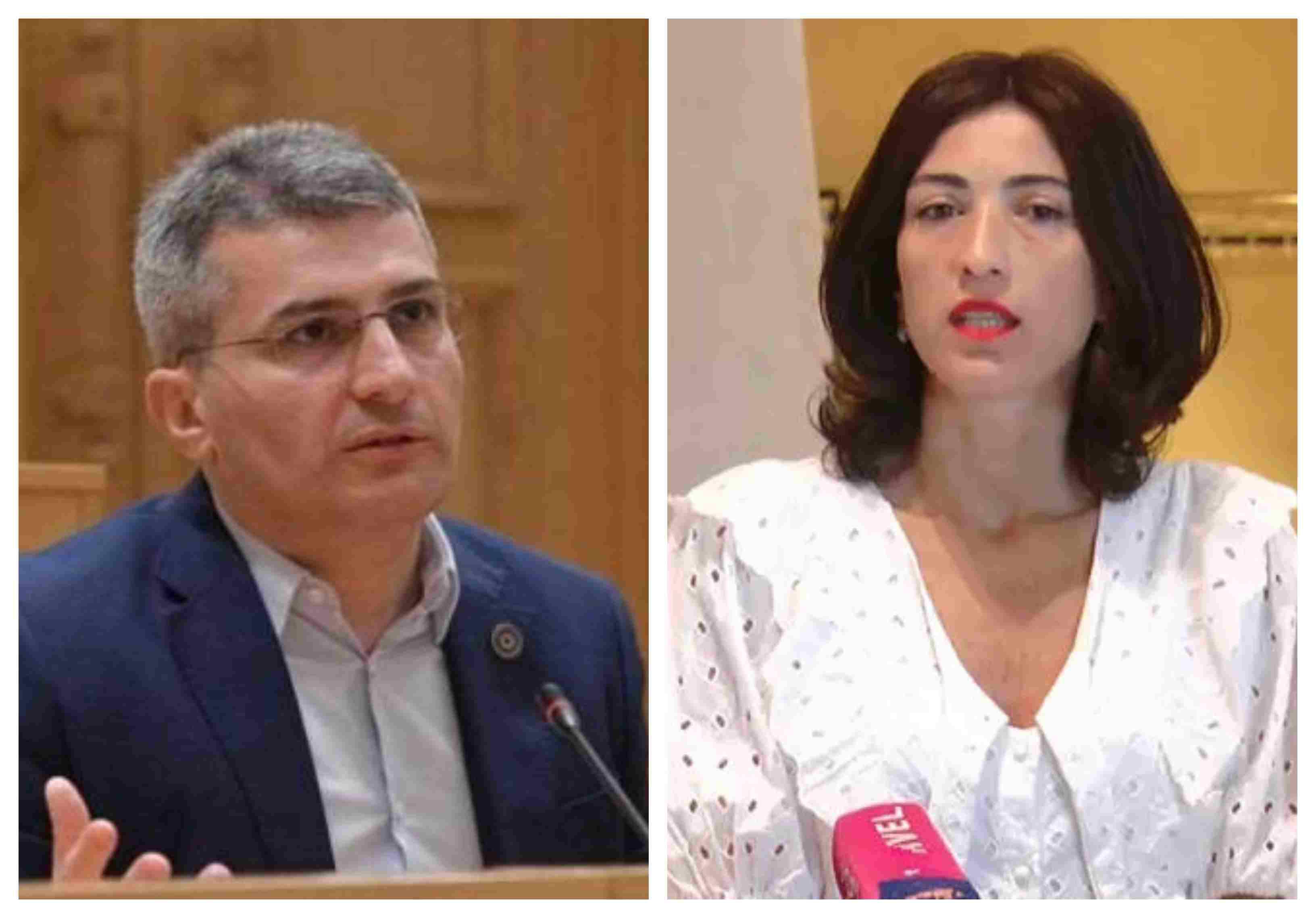 "სამართლიანი არჩევნების" ხელმძღვანელზე, ნინო დოლიძეზე მიმდინარეობს "ბულინგი"... უკრძალავენ, პარალელური ხმის დათვლის მონაცემები გამოაქვეყნოს" - მდინარაძე