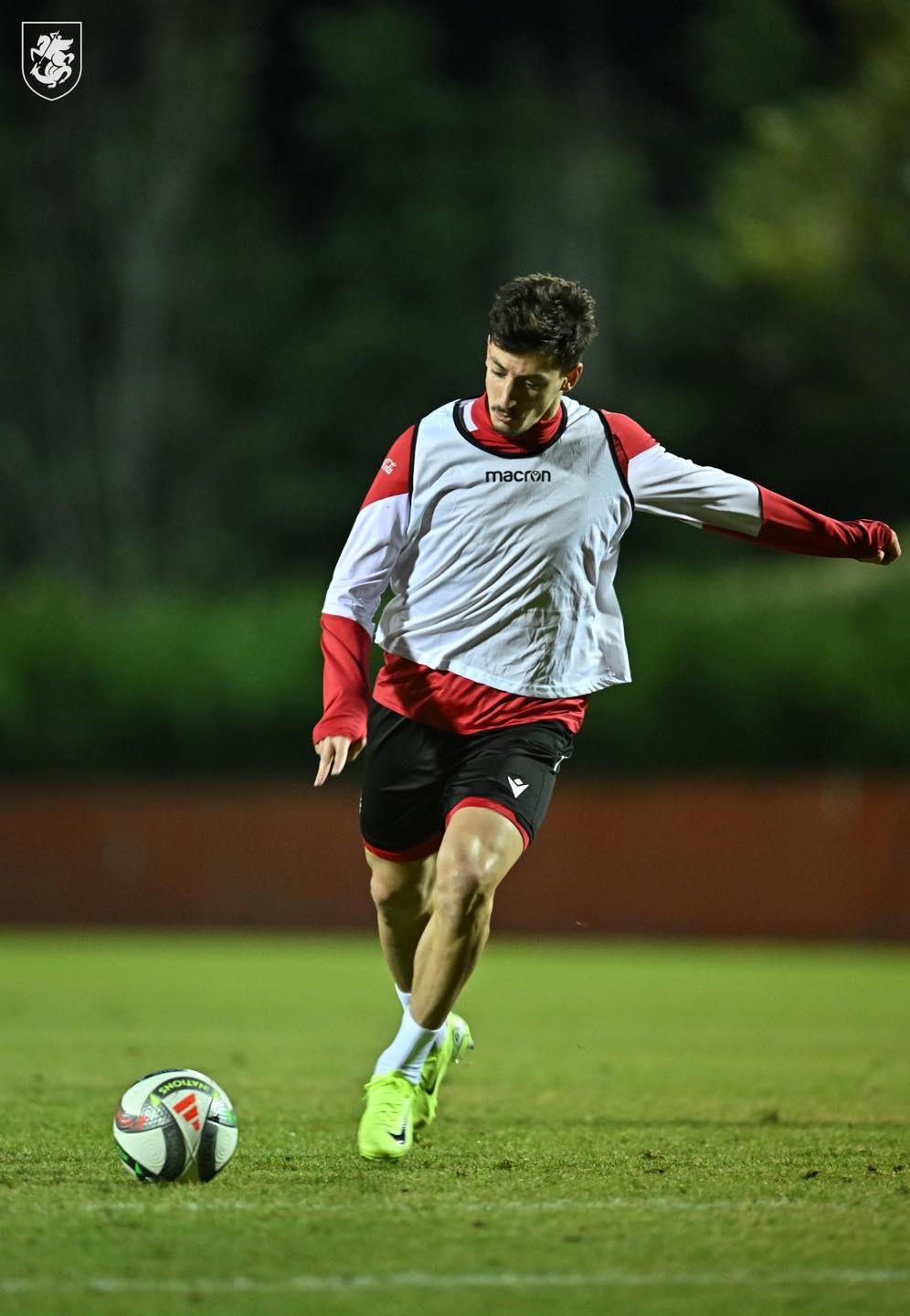 gocholeishvili