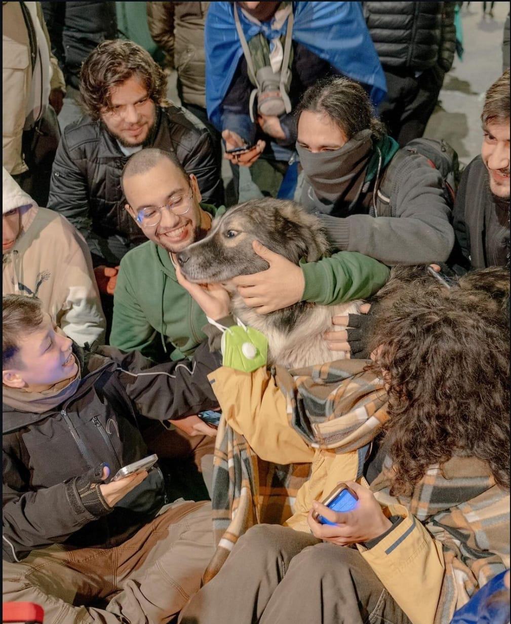 zviad)cecxladze, aqcia, sindisis_patimari