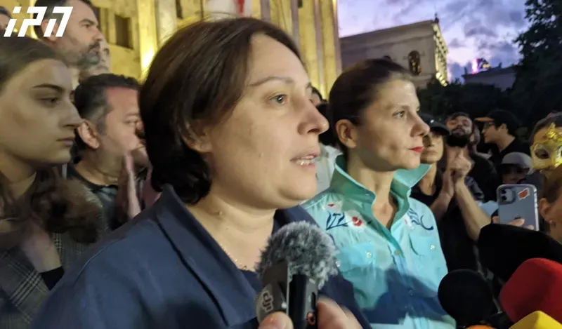 ელენე ხოშტარია შიმშილობას წყვეტს