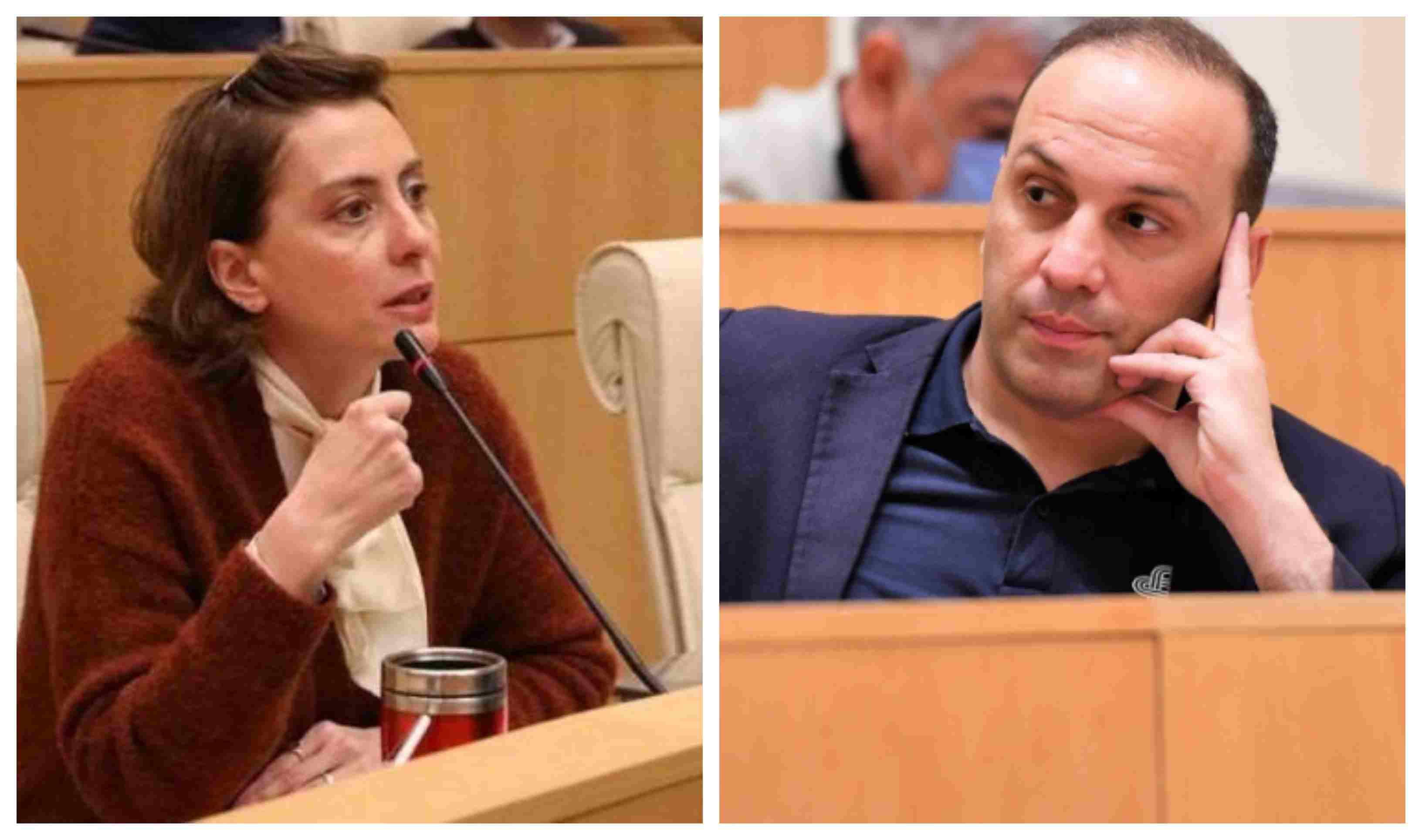 "ყოფილი ქოცის, ბიძინას ყოფილი მორჩილის არავის ეშინია" - ხატია დეკანოიძე ლევან გოგიჩაიშვილზე
