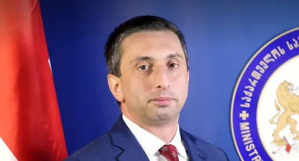 "ისე გამათავისუფლეს, ორიოდე სიტყვაც არ უთქვამთ...  5 ივლისს ჩემს ცოლს მოუვიდა ბრძანება პარლამენტის ევროპასთან ინტეგრაციის კომიტეტის აპარატიდან გათავისუფლებაზე" - თორნიკე ფარულავა