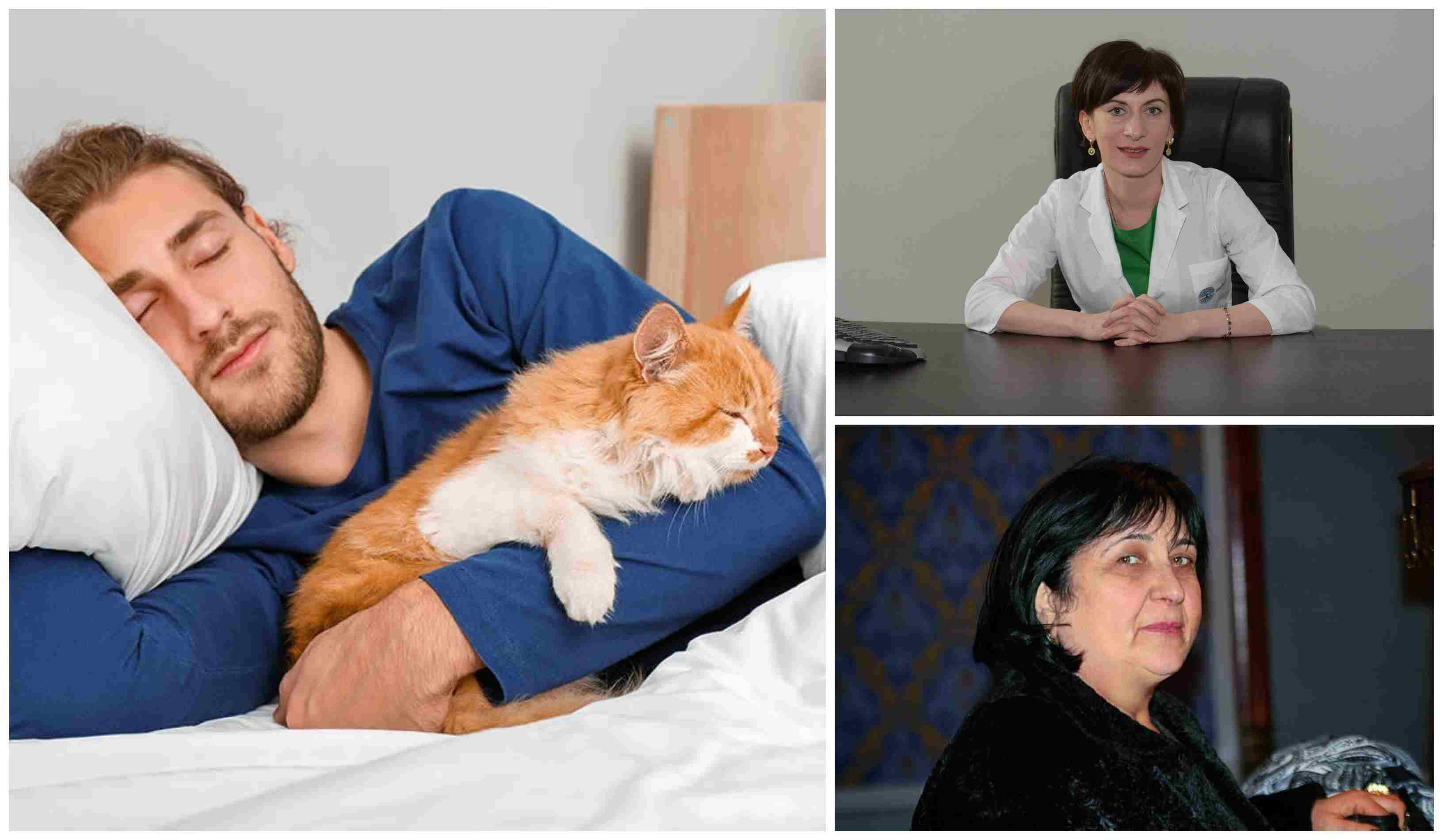 ძილთან ცხოველების ზიარება უსაფრთხოა? ვეტერინარების რეკომენდაციები!