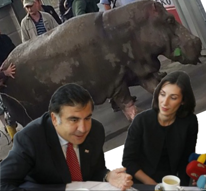 უკრაინის შს მინისტრის ანეკდოტი თბილისის ზოოპარკიდან გაქცეულ ბეჰემოტზე: "ყველაზე მეტად მიშა და ეკა იცინოდნენ"