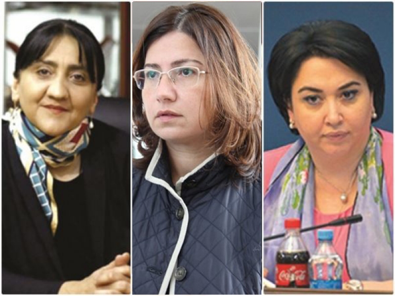 რა ქონებას ფლობენ ქართველი პოლიტიკოსი ქალები?