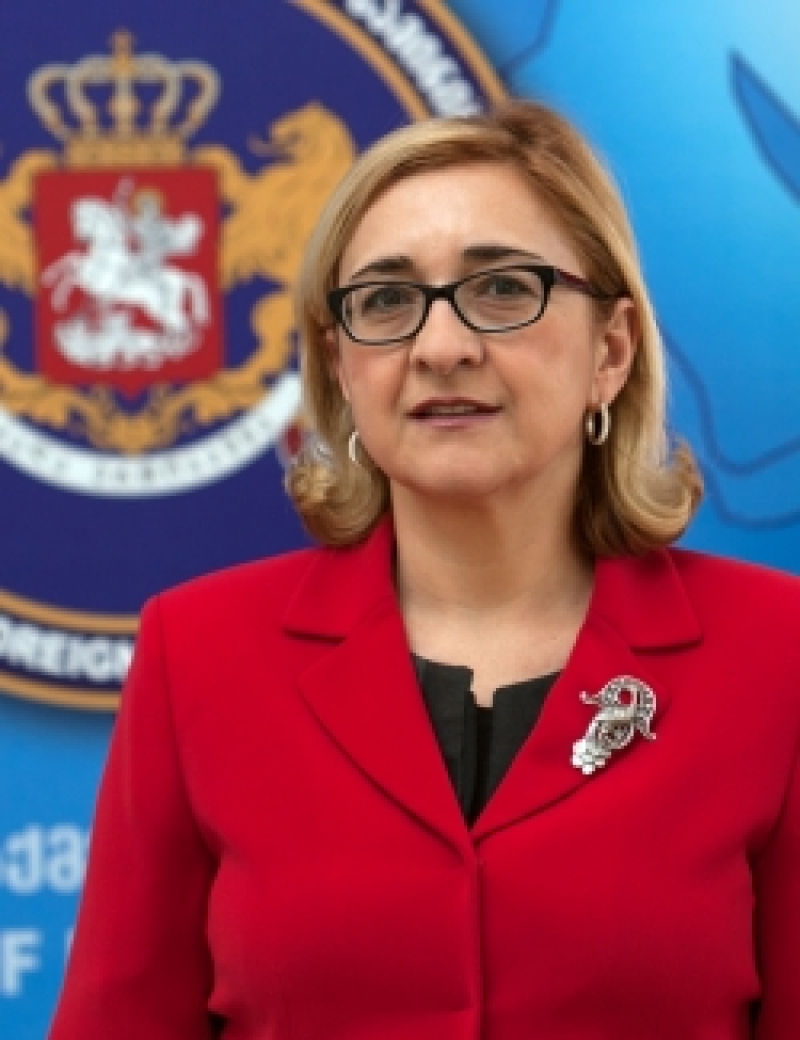 სად განაგრძობს მუშაობას თამარ ბერუჩაშვილი