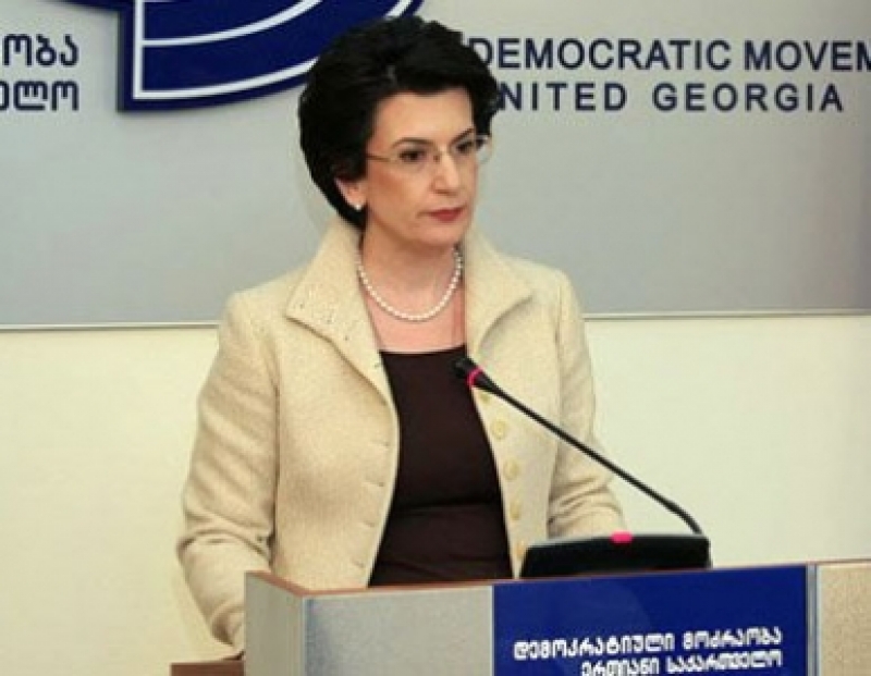ნინო ბურჯანაძე ირაკლი ალასანიას გადაწყვეტილებას შეცდომას უწოდებს