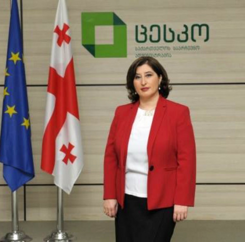 რა ქონებას ფლობს ცესკო-ს თავმჯდომარე თამარ ჟვანია