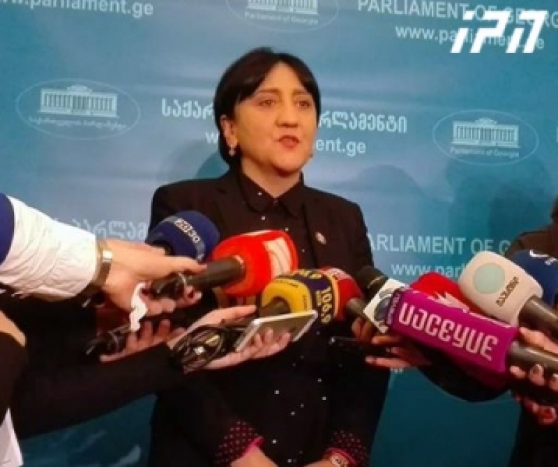 ირმა ინაშვილი - არ გამოვრიცხავ, მთავრობის ახალ შემადგენლობას მხარი არ დავუჭიროთ