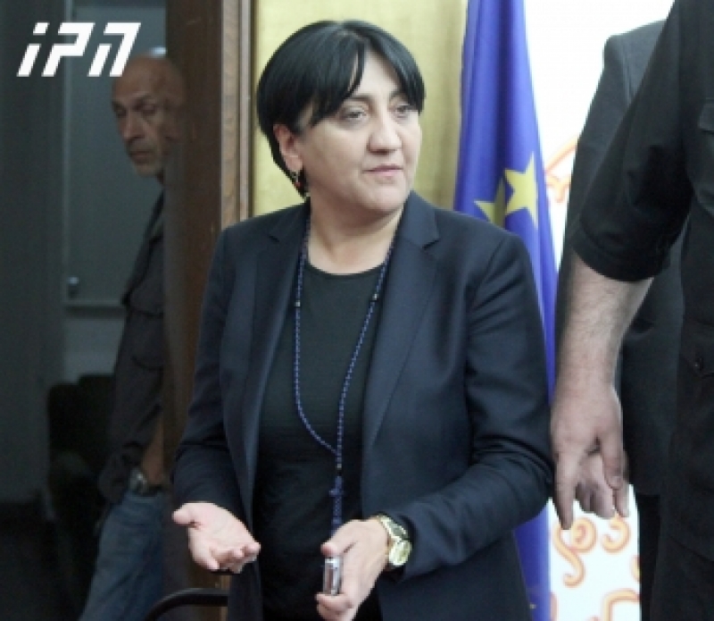 ირმა ინაშვილი კულტურისა და გარემოს დაცვის მინისტრების სისხლის სამართლის პასუხისგებაში მიცემას ითხოვს