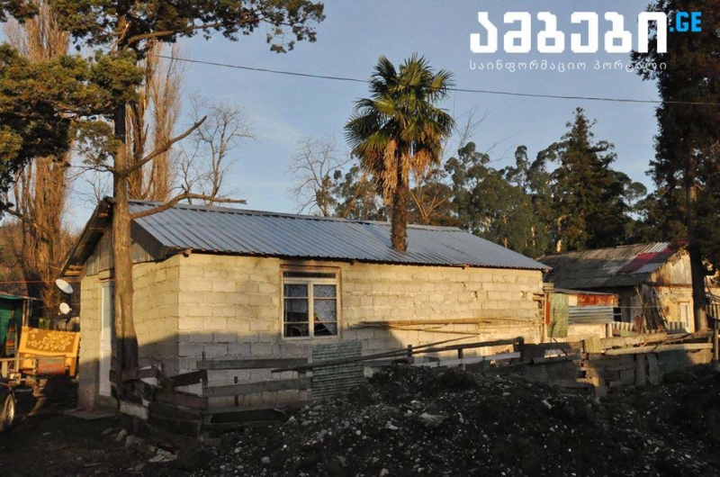 74 წლის აჭარელი მოხუცის ცხოვრება სახლში "ამოსულ" პალმასთან ერთად