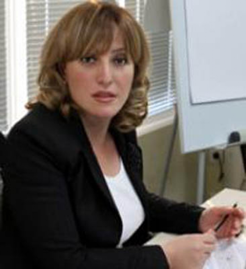  ეკონომიკის სამინისტროს ინფორმაციით, "ლოგოსი" და "თეთრი სახლი" სახელმწიფოს თავად აღნიშნული შპს-ების ხელმძღვანელობამ გადასცა