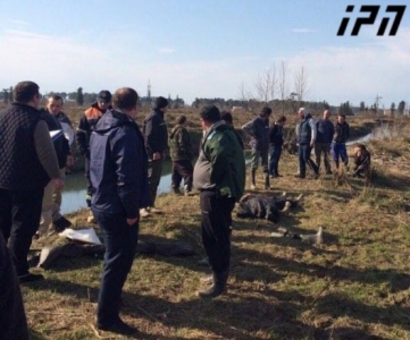 ლაგოდეხის მთებში მაშველებმა კიდევ ერთი მამაკაცის ცხედარი იპოვეს