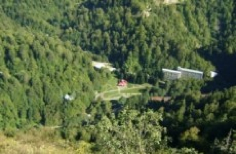  საირმის ტყეში დაკარგულ ცოტნე ჭანტურიძეს მაშველები ამ დრომდე ეძებენ 