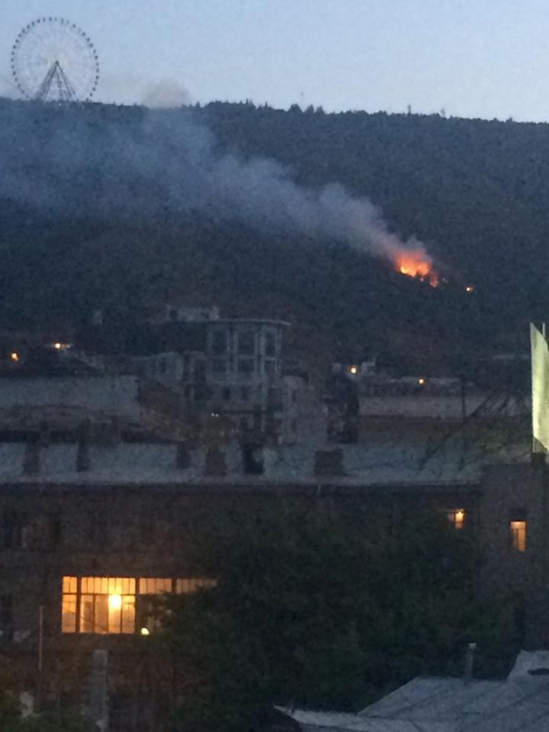 მთაწმინდის პარკის მახლობლად ტყის მასივი იწვის