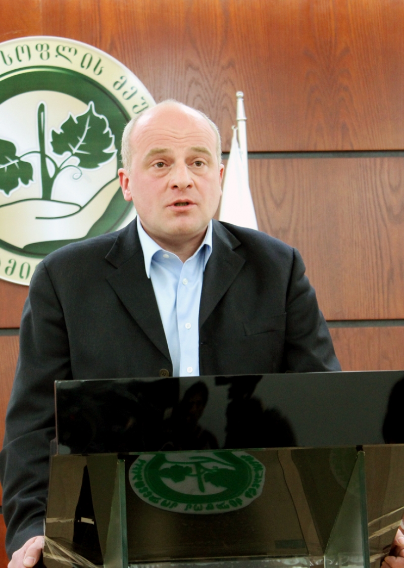 "კირვალიძეზე აპირებდნენ ხელისშეწმენდას, მაგრამ ივანიშვილმა არ შეაწმენდინა" 