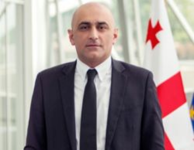ირაკლი ალასანიას მოადგილე მოწმის სტატუსით დაიკითხება 