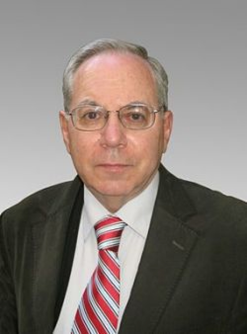 "იმის მტკიცება, რომ სირიის კონფლიქტი საქართველოზე "გადმოვა", უპასუხისმგებლობაა და პანიკის დათესვას ემსახურება" 