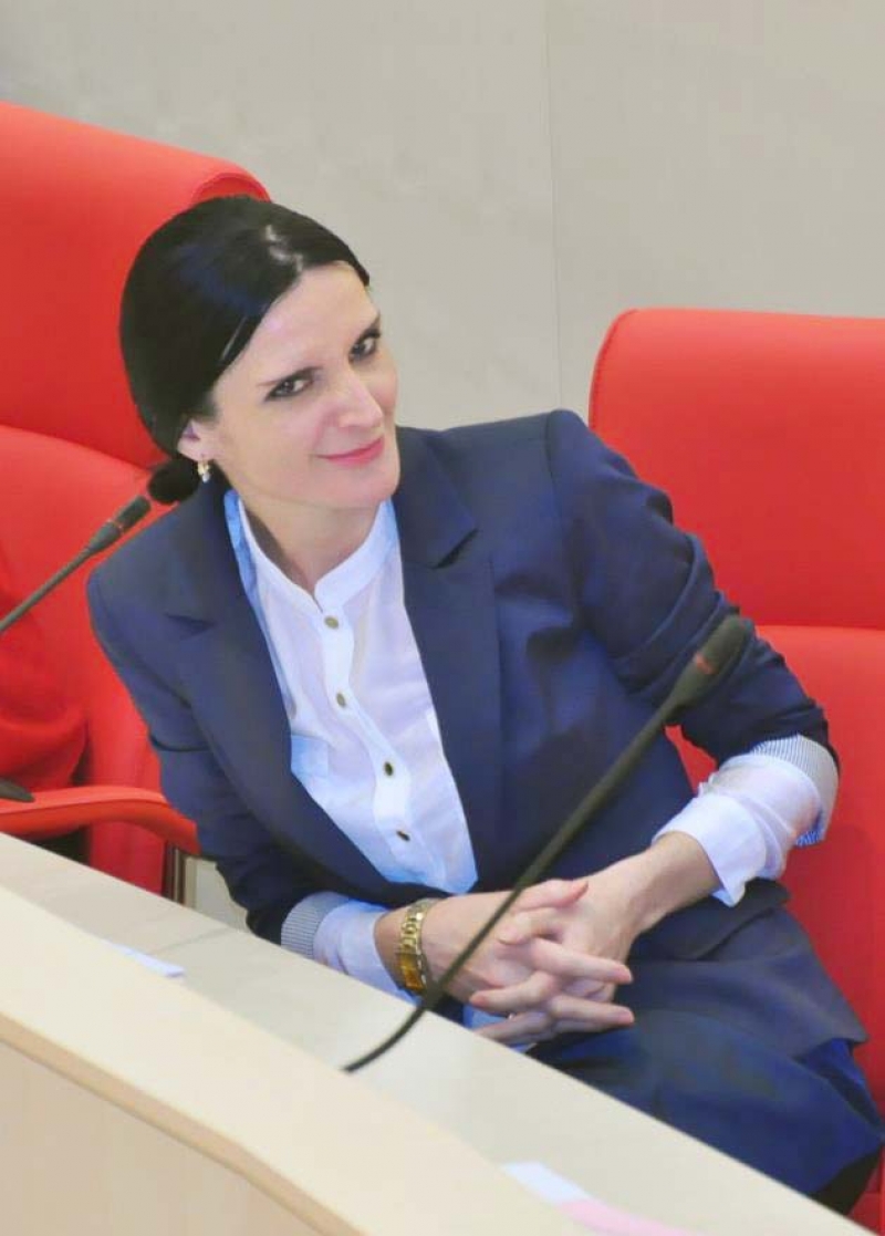 "წარმოუდგენელია, ახალი წლის დღეებში აკრძალო მაშხალების შემოტანა და გამოყენება, მაგრამ..." - რას აპირებენ პარლამენტში