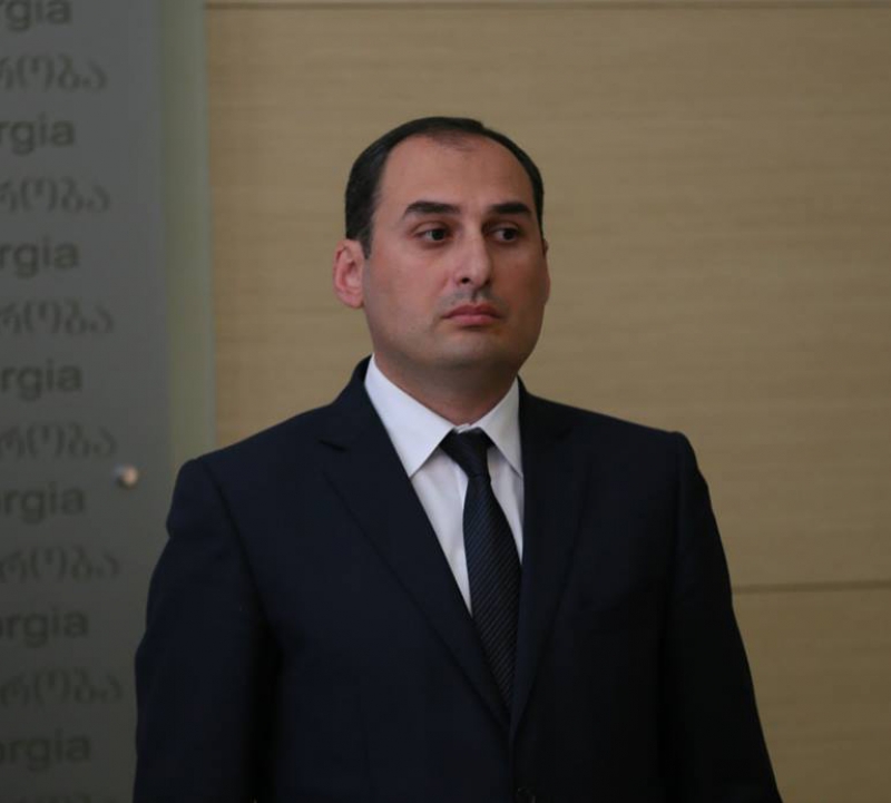 რა ქონებას ფლობს ეკონომიკის ახალი მინისტრი დიმიტრი ქუმსიშვილი