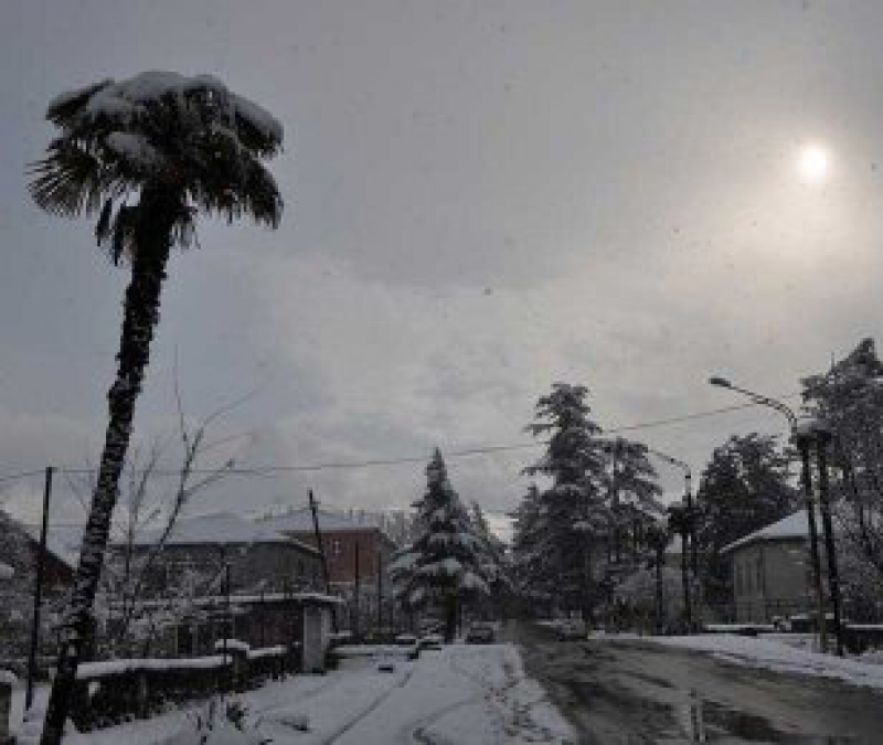 გურიაში თოვს
