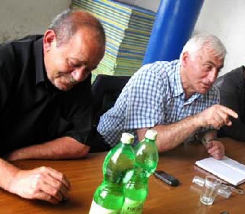 სამველ პეტროსიანი ორმაგი მოქალაქეობის საკანონმდებლო რეგულირების გადახედვას ითხოვს