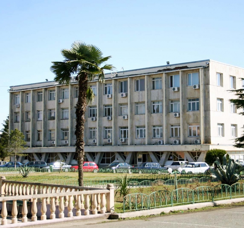 ხობის გამგებელს და მის მოადგილეს ფიზიკურ შეურაცხყოფაში ადანაშაულებენ 