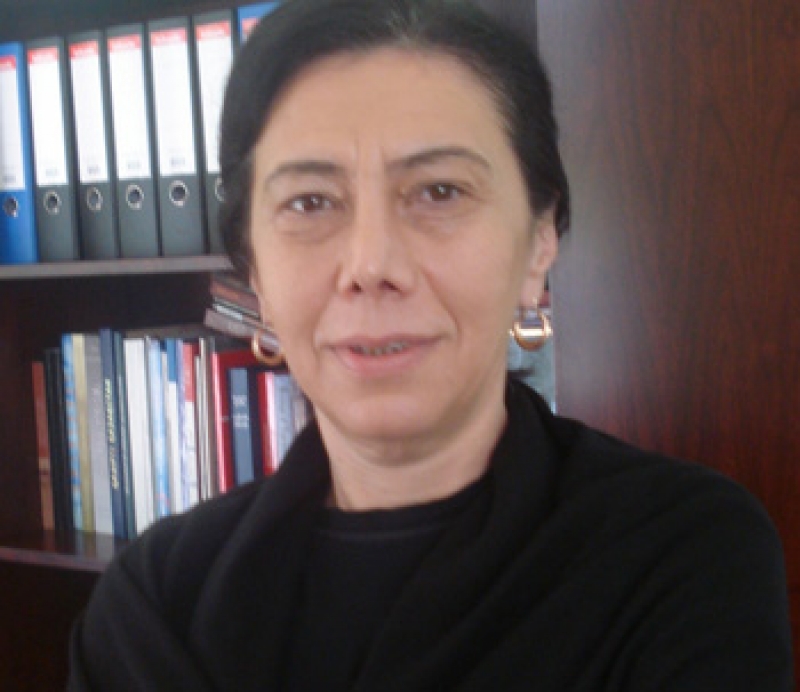  "შაშკინს სურს, დირექტორებზე გადატეხოს ჯოხი"