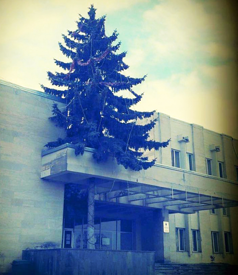 როგორი ნაძვის ხით ხვდება ახალ წელს საქართველოს სხვადასხვა ქალაქი