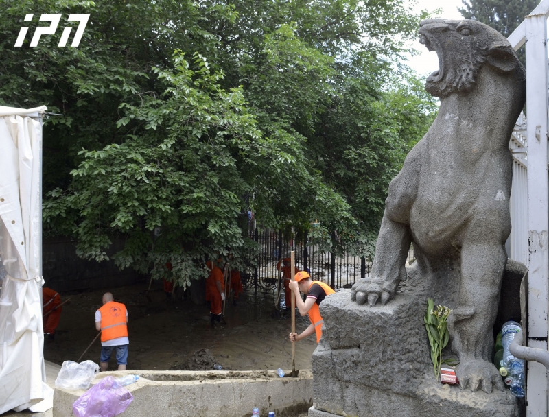 თბილისის ზოოპარკი საჭირო ნივთების ჩამონათვალს აქვეყნებს