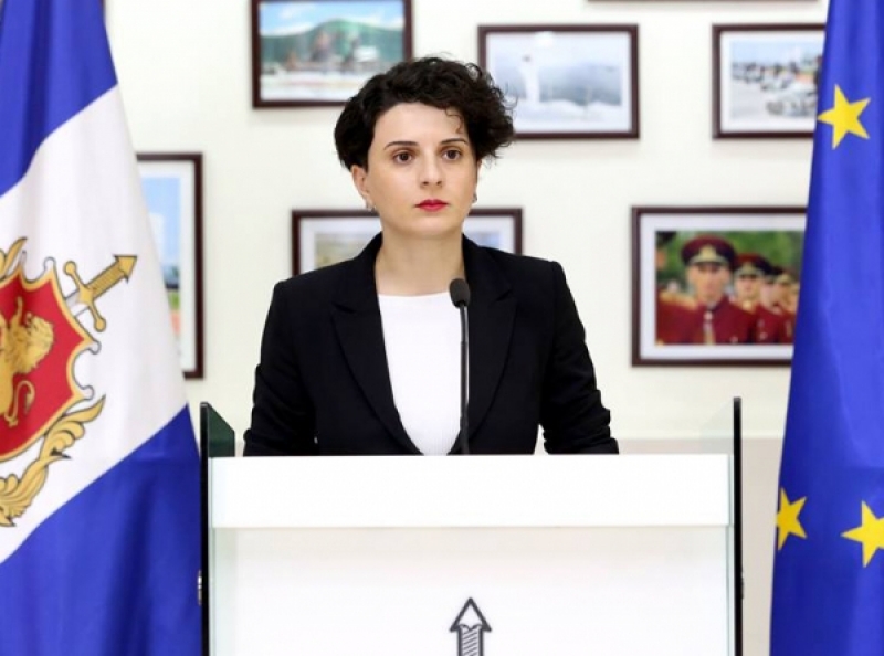 ნათია მეზვრიშვილი - არ ვაპირებთ ჩადებას