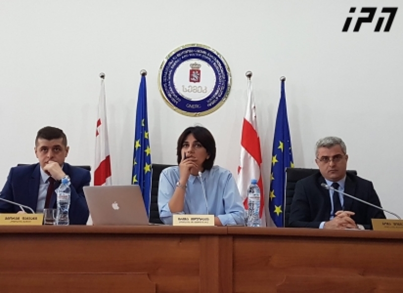 ირინა მილორავა - გაზის ტრანსპორტირების ტარიფს, რომელიც საშუალოდ 0,5 თეთრით გაიზარდა, სამომხმარებლო ტარიფზე გავლენა ექნება