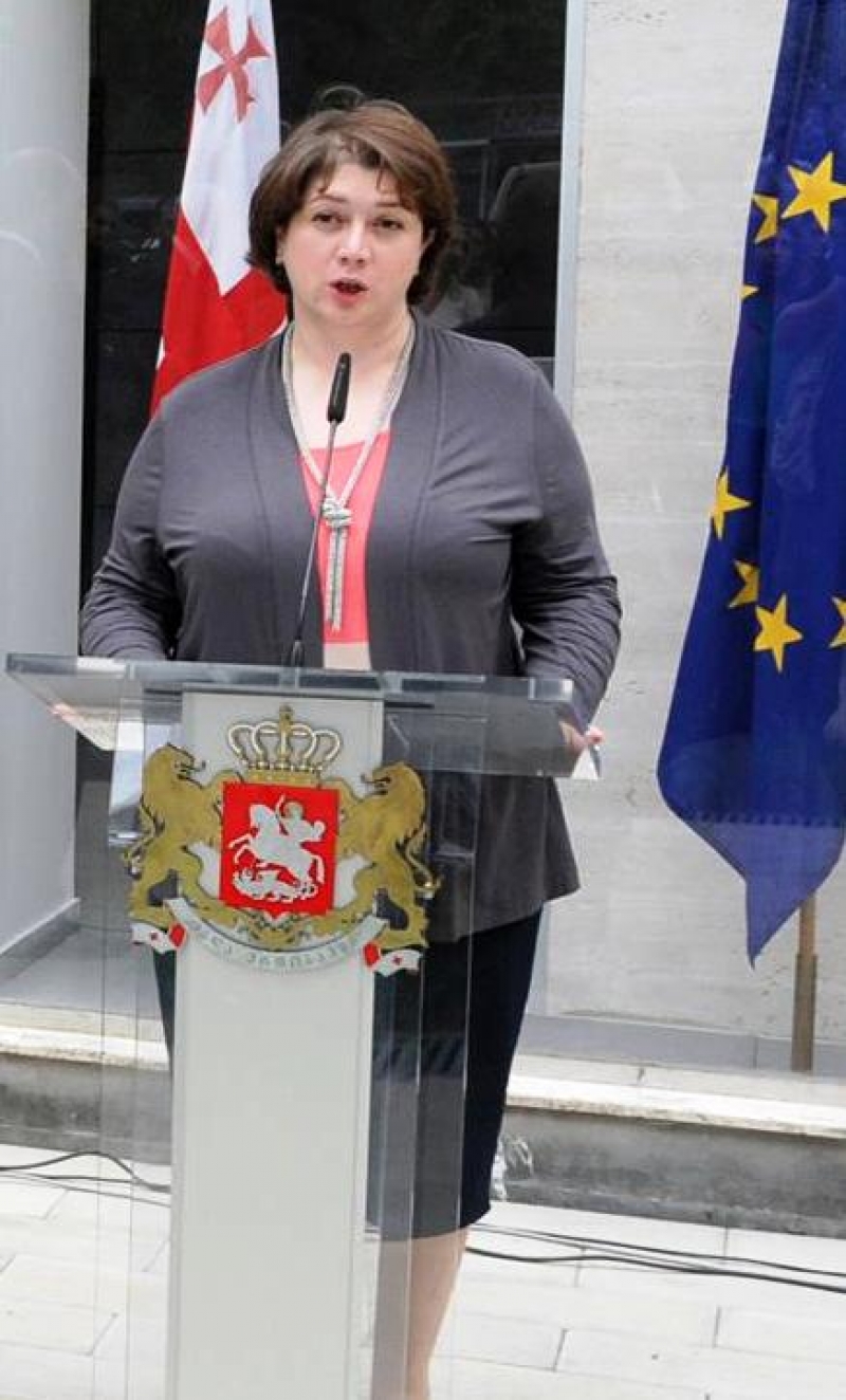 რა ქონებას ფლობს მთავრობის კანცელარიის უფროსი მაია ცქიტიშვილი, რომელსაც პრემიერზე მაღალი შემოსავალი აქვს